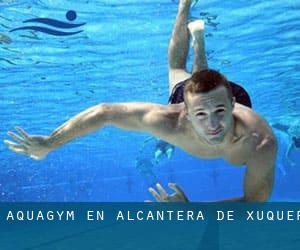 Aquagym en Alcàntera de Xúquer