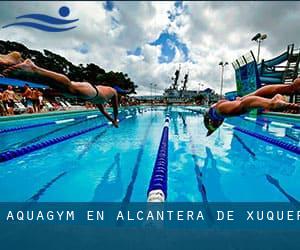 Aquagym en Alcàntera de Xúquer