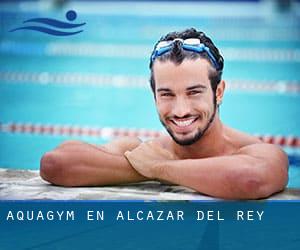 Aquagym en Alcázar del Rey