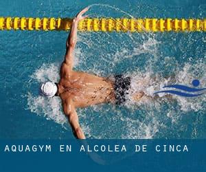 Aquagym en Alcolea de Cinca