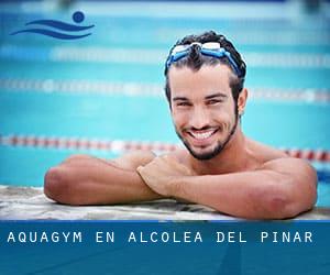 Aquagym en Alcolea del Pinar