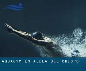 Aquagym en Aldea del Obispo