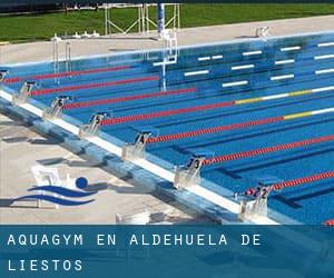 Aquagym en Aldehuela de Liestos