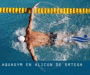 Aquagym en Alicún de Ortega