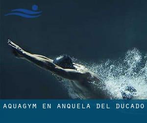 Aquagym en Anquela del Ducado