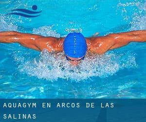 Aquagym en Arcos de las Salinas