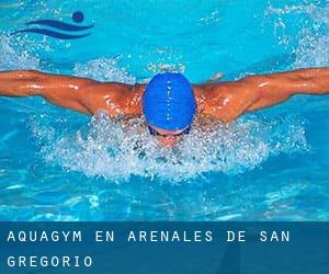 Aquagym en Arenales de San Gregorio