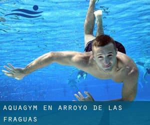 Aquagym en Arroyo de las Fraguas