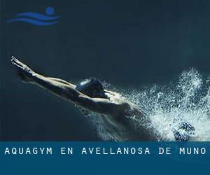 Aquagym en Avellanosa de Muñó