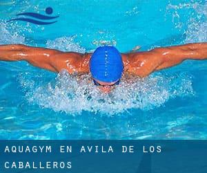 Aquagym en Ávila de los Caballeros