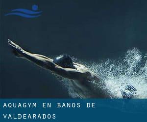 Aquagym en Baños de Valdearados