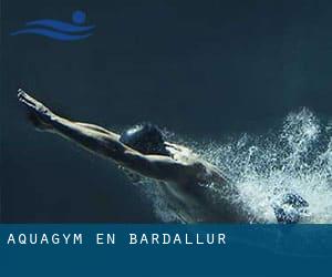 Aquagym en Bardallur