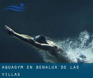 Aquagym en Benalúa de las Villas