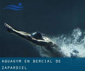 Aquagym en Bercial de Zapardiel