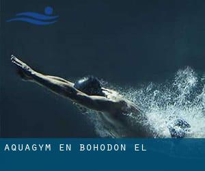 Aquagym en Bohodón (El)