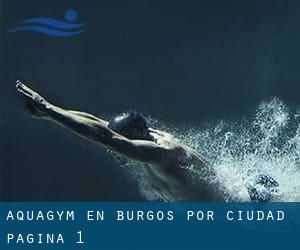 Aquagym en Burgos por Ciudad - página 1