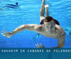 Aquagym en Cabañas de Polendos