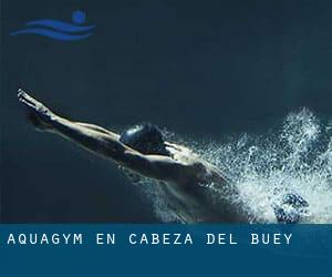 Aquagym en Cabeza del Buey