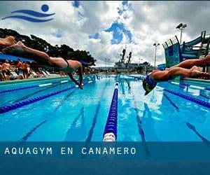 Aquagym en Cañamero