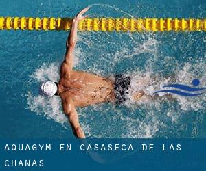 Aquagym en Casaseca de las Chanas