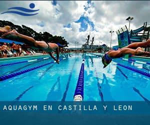 Aquagym en Castilla y León