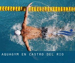 Aquagym en Castro del Río