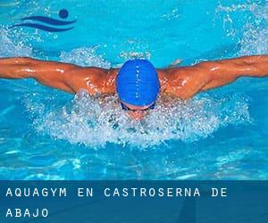 Aquagym en Castroserna de Abajo