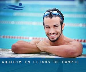 Aquagym en Ceinos de Campos