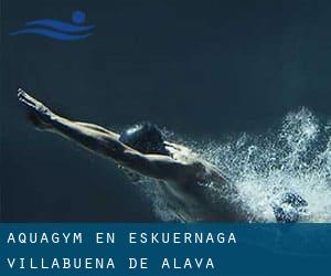 Aquagym en Eskuernaga / Villabuena de Álava