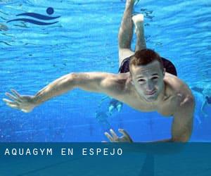 Aquagym en Espejo