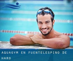 Aquagym en Fuentelespino de Haro