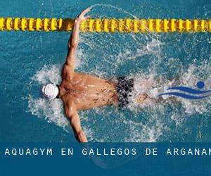 Aquagym en Gallegos de Argañán