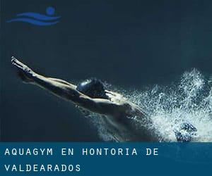 Aquagym en Hontoria de Valdearados