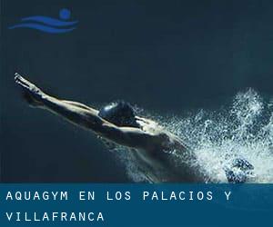 Aquagym en Los Palacios y Villafranca