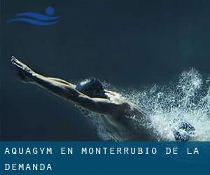 Aquagym en Monterrubio de la Demanda