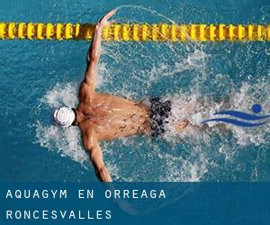 Aquagym en Orreaga / Roncesvalles