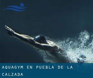 Aquagym en Puebla de la Calzada