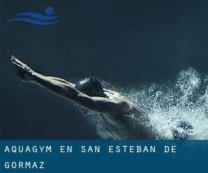 Aquagym en San Esteban de Gormaz