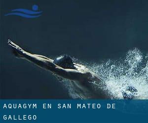 Aquagym en San Mateo de Gállego