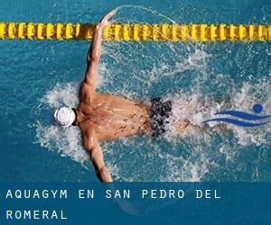 Aquagym en San Pedro del Romeral