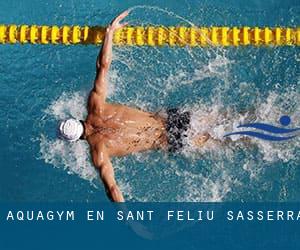 Aquagym en Sant Feliu Sasserra