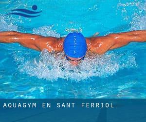 Aquagym en Sant Ferriol