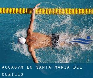 Aquagym en Santa María del Cubillo