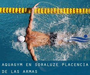 Aquagym en Soraluze / Placencia de las Armas