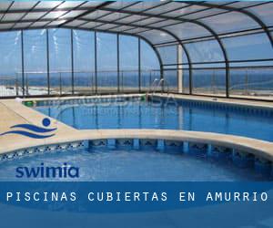 Piscinas cubiertas en Amurrio