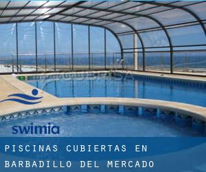 Piscinas cubiertas en Barbadillo del Mercado