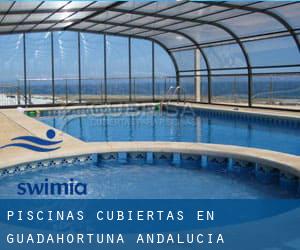 Piscinas cubiertas en Guadahortuna (Andalucía)