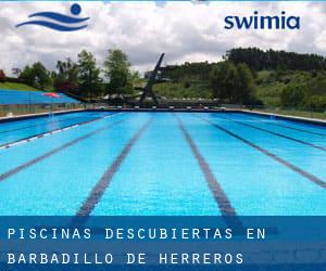 Piscinas descubiertas en Barbadillo de Herreros