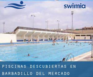 Piscinas descubiertas en Barbadillo del Mercado