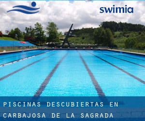 Piscinas descubiertas en Carbajosa de la Sagrada